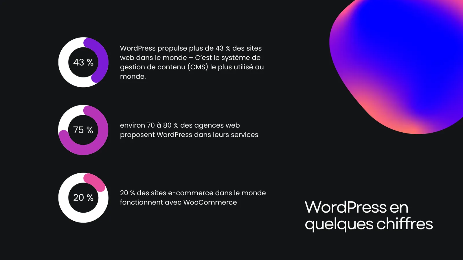 Capture du projet Animation d'Atelier WordPress
